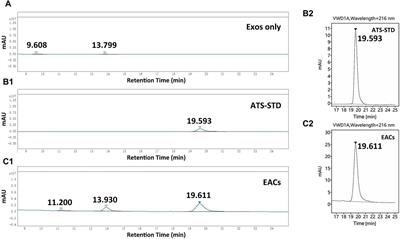 Exosome-drug conjugates delivery: a promising strategy for ameliorating the pharmacokinetic profile of artesunate